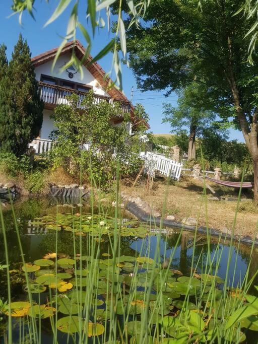 Cabana Mare In Intimitate Si Liniste Bosorod المظهر الخارجي الصورة
